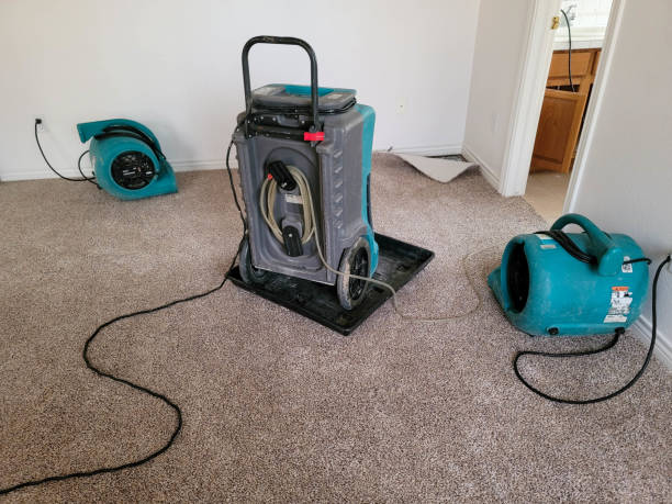 Best Ceiling water damage repair  in Rocky Point, NY