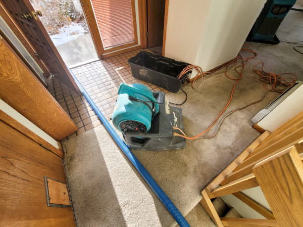 Best Water damage contractors near me  in Rocky Point, NY