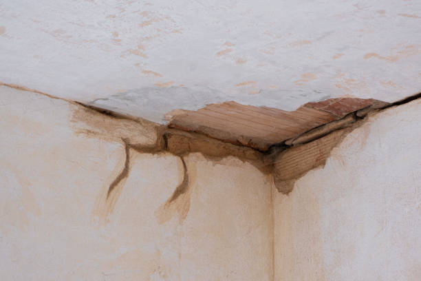 Best Water damage restoration company  in Rocky Point, NY