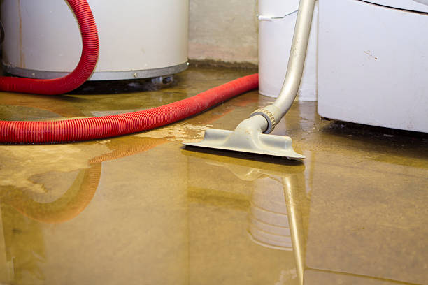Best Basement water damage restoration  in Rocky Point, NY
