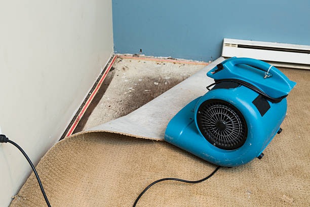 Best Flooded house restoration  in Rocky Point, NY